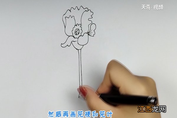 虞美人简笔画 虞美人简笔画教程