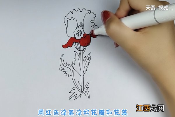 虞美人简笔画 虞美人简笔画教程