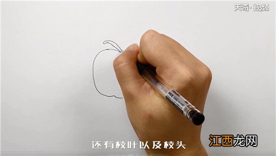 西红柿简笔画图片带颜色 西红柿简笔画