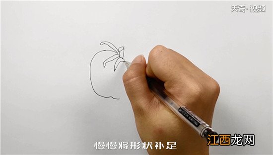 西红柿简笔画图片带颜色 西红柿简笔画