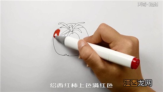 西红柿简笔画图片带颜色 西红柿简笔画