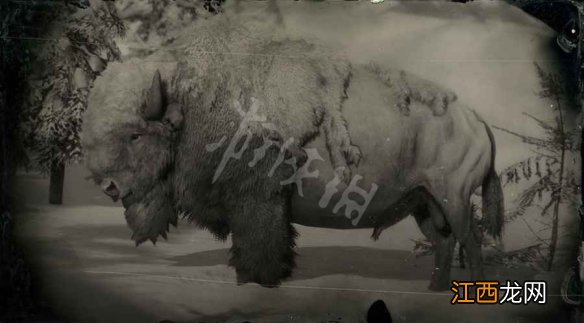 荒野大镖客2传说动物分布图 荒野大镖客2传奇动物图鉴大全