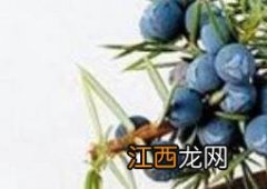 杜松子精油怎么用 杜松子精油怎么用视频