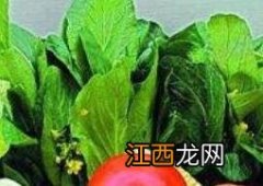 含维生素d的食物有哪些 含维生素d的食物