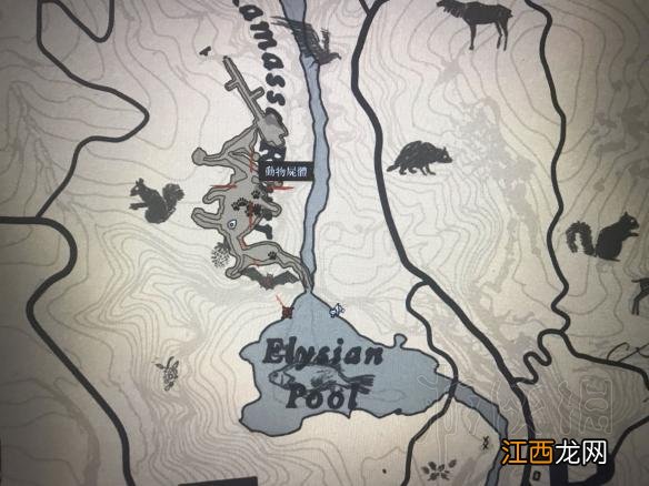 荒野大镖客2鸟类捕猎地点推荐