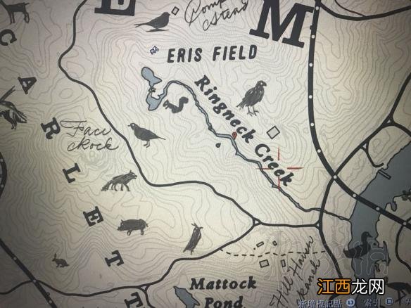 荒野大镖客2鸟类捕猎地点推荐