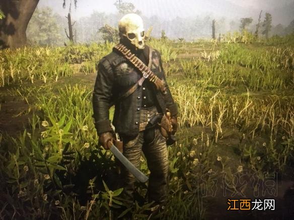 荒野大镖客2鸟类捕猎地点推荐