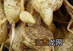 红柑精油的功效与用法 红柑精油的功效与作用