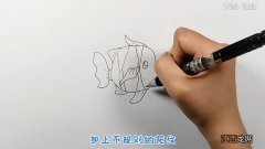 小丑鱼简笔画 小丑鱼简笔画彩色