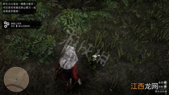 荒野大镖客2线上草药分布 荒野大镖客2药草位置图文大全
