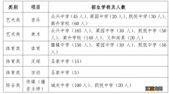 试行 2022肥东县普通高中特色班招生专业考核实施细则