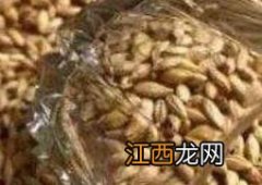 什么东西吃了会回奶的食物有哪些 回奶的食物有哪些