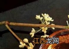 桂花酒的功效与作用 八月桂花酒的功效与作用