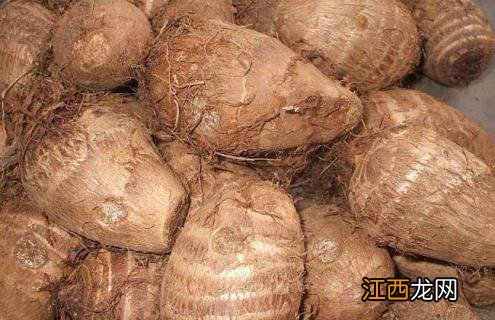 芋头品种图片大全 芋头品种大全及图片说明