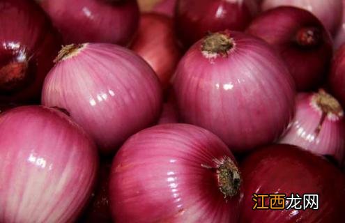 葱的种类及图片大全 葱的名称及图片大全
