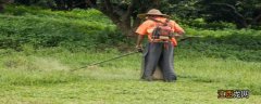 除草剂在田里的残留期是多长时间 除草剂在土壤残留时间