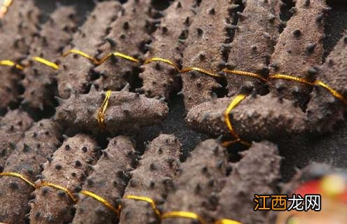 海参是什么动物类型 海参是什么动物