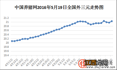 猪价高位调整 猪价多地继续上涨