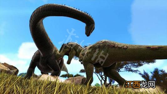 方舟生存进化恐龙蛋怎么孵化? 方舟生存进化恐龙蛋怎么孵化