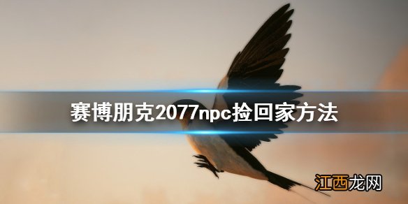 赛博朋克2077捡不了 赛博朋克2077NPC怎么捡