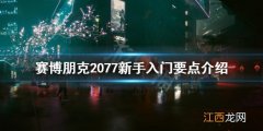 赛博朋克2077新手指南 赛博朋克2077新手入门要注意什么