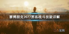 赛博朋克2077黑客有什么战斗技能 赛博朋克2077 黑客技能