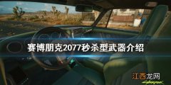 赛博朋克2077秒杀型武器有什么 赛博朋克2077多的武器