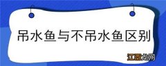 吊水鱼与不吊水鱼区别 吊水鱼与不吊水鱼区别在哪