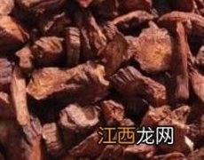 中药丹参的副作用和禁忌 中药丹参的副作用和禁忌有哪些