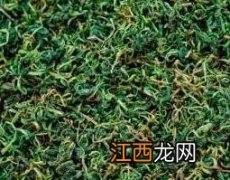 蒲公英对男性有好处吗 蒲公英对男性有好处吗百度百科