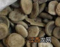 马钱子的功效与作用及副作用及禁忌 马钱子的功效与作用及副作用