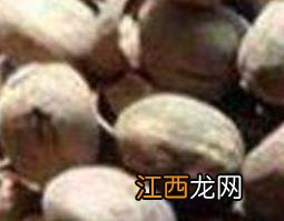 巴豆霜的功效与作用点 巴豆霜的功效与作用