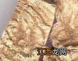 商陆根的功效与作用及药用价值 啇陆根功效