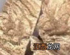 商陆根和土人参的区别 商陆与土人参的区别