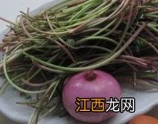 蒲公英可以降血压吗怎么吃 蒲公英可以降血压吗