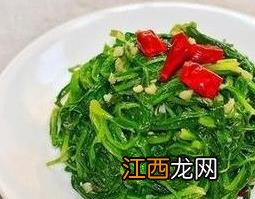 蒲公英菜的功效与作用 蒲公英菜的功效与作用及禁忌