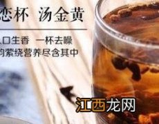 鲜蒲公英根能泡水喝吗怎么泡 鲜蒲公英根能泡水喝吗