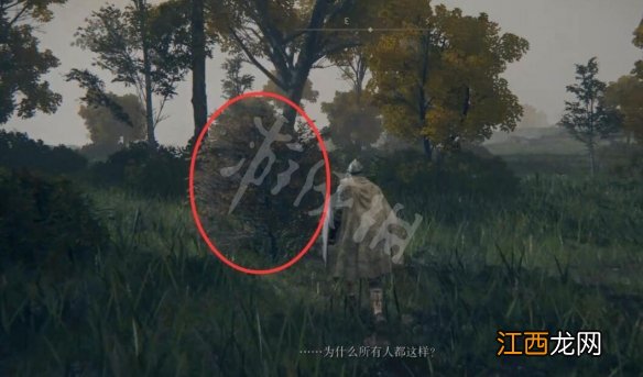 艾尔登法环隐藏npc位置地图大全 艾尔登法环好玩吗