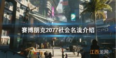 赛博朋克2077最有钱的人 赛博朋克2077社会名流阶层是怎么样的