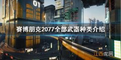 赛博朋克2077都有哪些武器 赛博朋克2077有多少种武器