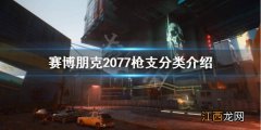 赛博朋克2077枪械介绍 赛博朋克2077枪械都有哪些种类