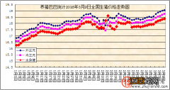 趋势：国内猪市出现火热行情 最新猪市行情走势