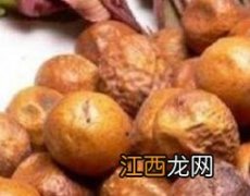 川楝子的功效与作用 川楝子的功效与作用及禁忌