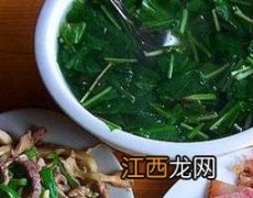 蒲公英汤的功效与作用及禁忌 蒲公英汤的功效与作用