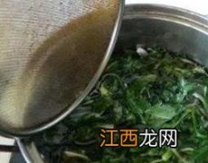 隔夜的蒲公英水能喝吗 隔夜的蒲公英水能喝吗?