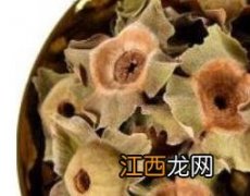 柿蒂的药用功效与作用图片 柿蒂的药用功效与作用