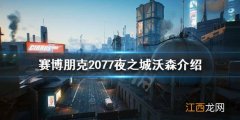 赛博朋克2077夜之城沃森地区怎么样 赛博朋克2077城市之光