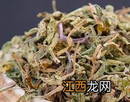 婆婆丁干的功效与作用 婆婆丁晒干喝有哪些功效