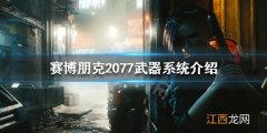 赛博朋克2077枪械属性 赛博朋克2077枪械类型都有哪些