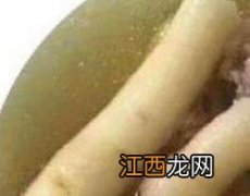 糖泡参的功效与作用及禁忌症 糖泡参的功效与作用及禁忌